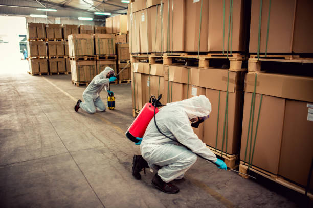 Best Ant Control Services  in Roosevelt, NJ