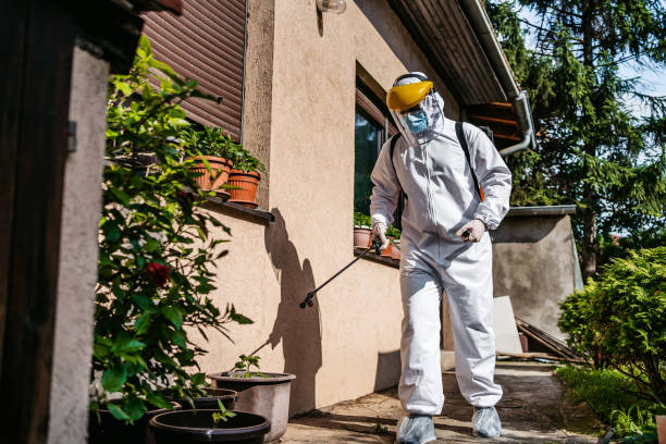 Best Pest Control Near Me  in Roosevelt, NJ