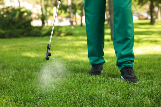 Best Pest Removal Services  in Roosevelt, NJ