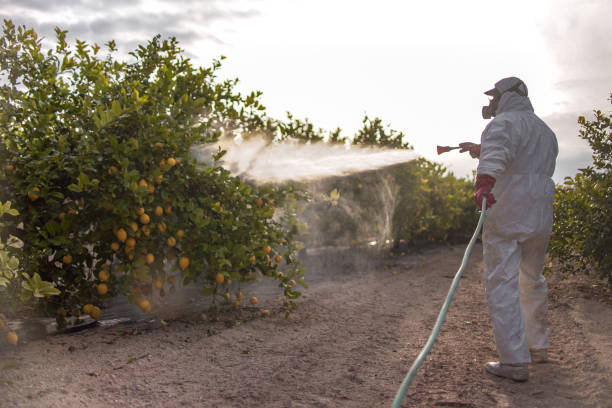 Best Local Pest Control Services  in Roosevelt, NJ