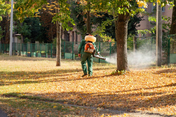 Best Emergency Pest Control  in Roosevelt, NJ