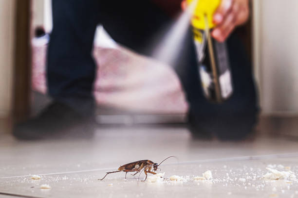 Best Affordable Pest Control Services  in Roosevelt, NJ