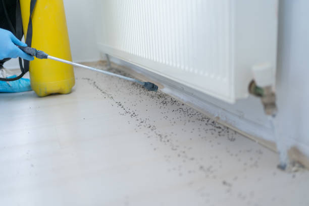 Best Mosquito Control Services  in Roosevelt, NJ