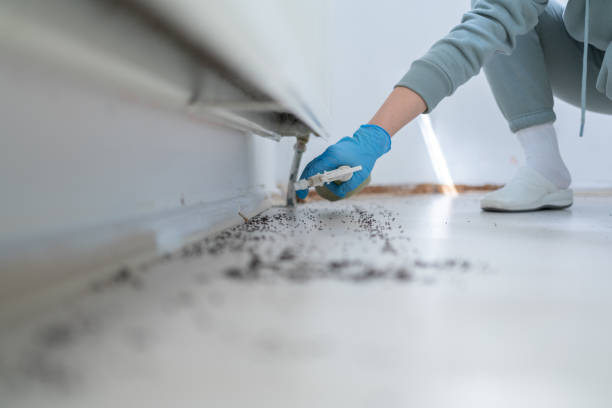 Best Spider Control Near Me  in Roosevelt, NJ