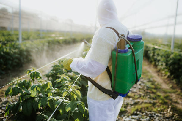 Best Pest Prevention Services  in Roosevelt, NJ